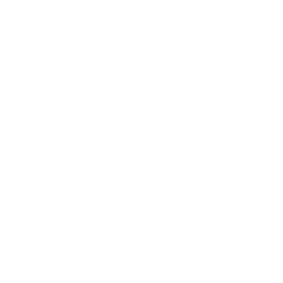 Diverse Student Population